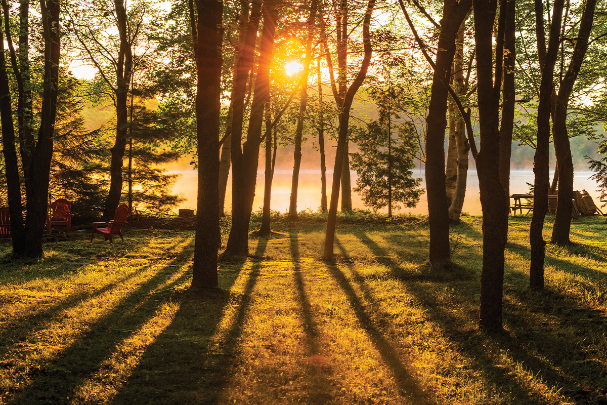 riverpark Park Forest
